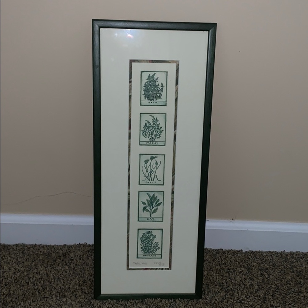 Italian Herbs Framed Print